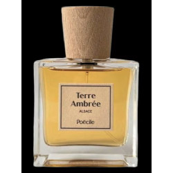 Poécile - Terre Ambrée