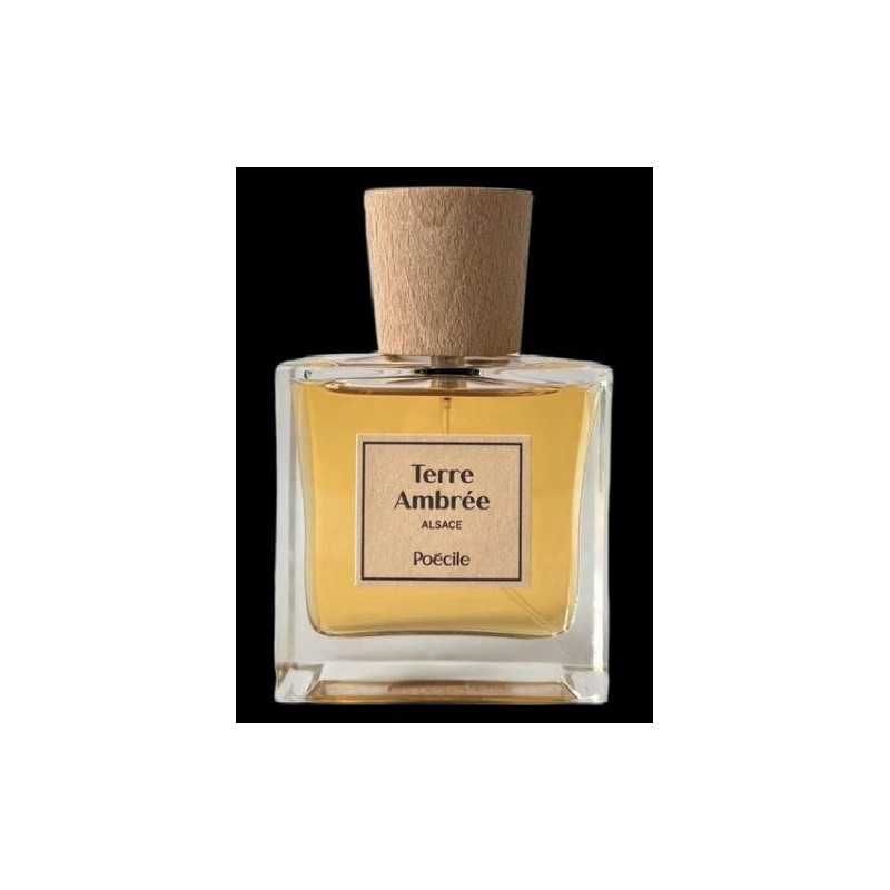 Poécile - Terre Ambrée