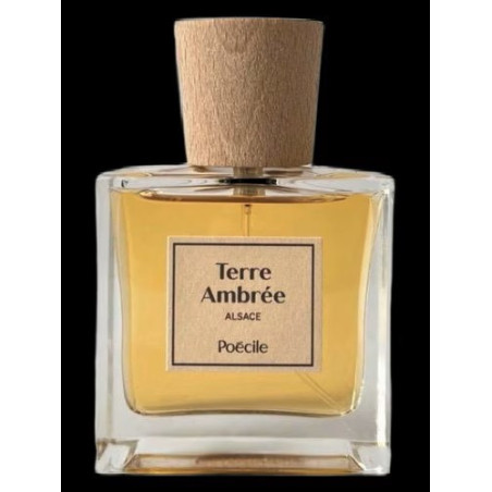 Poécile - Terre Ambrée